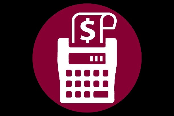 Payroll Outsourcing Services Icon